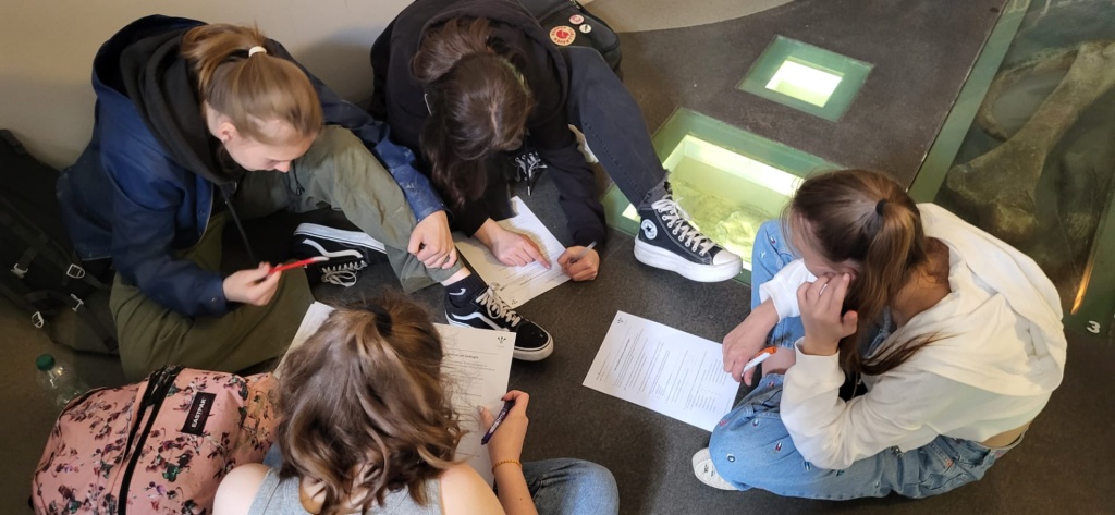 Willekeurige afbeelding uit het fotoalbum