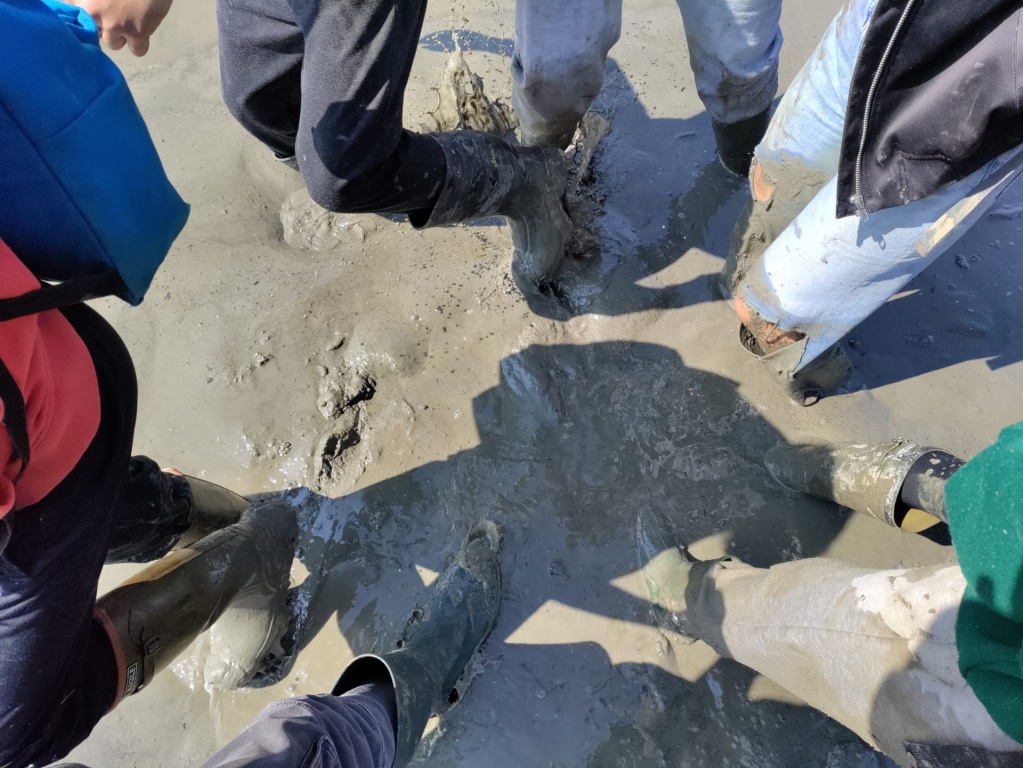 Willekeurige afbeelding uit het fotoalbum