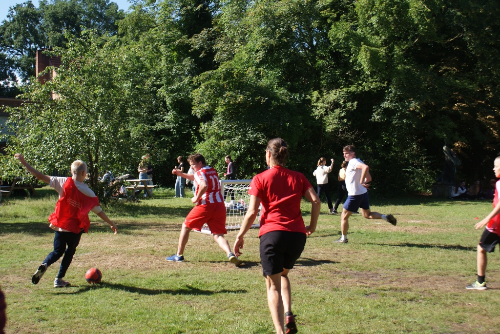 Willekeurige afbeelding uit het fotoalbum