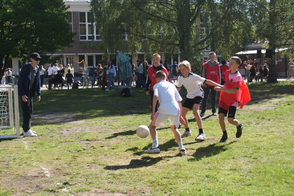 Willekeurige afbeelding uit het fotoalbum