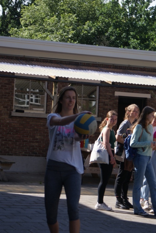 Willekeurige afbeelding uit het fotoalbum