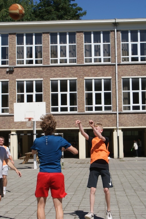 Willekeurige afbeelding uit het fotoalbum