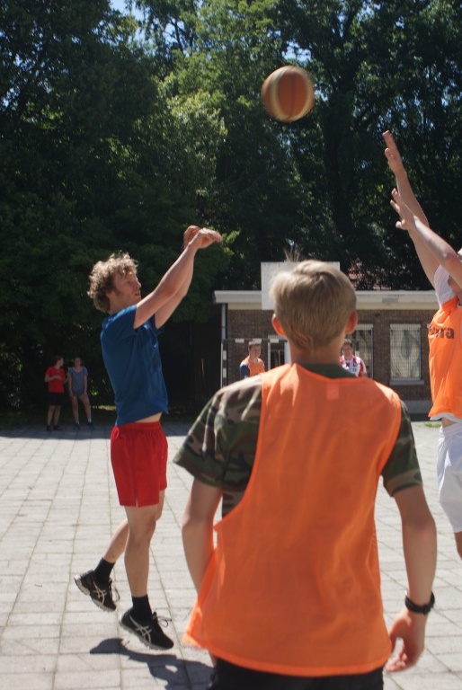 Willekeurige afbeelding uit het fotoalbum