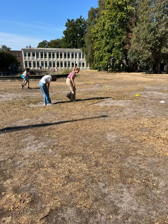 Willekeurige afbeelding uit het fotoalbum