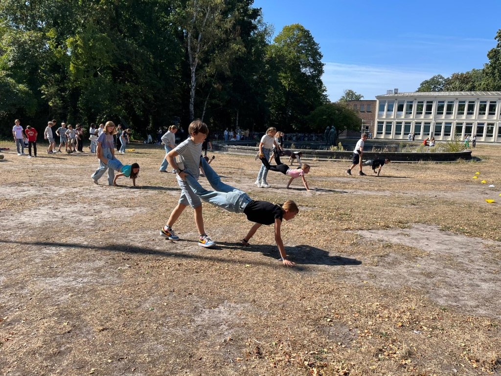 Willekeurige afbeelding uit het fotoalbum