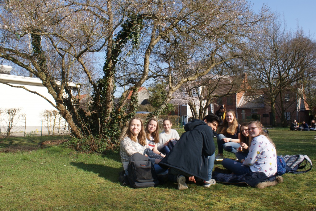 Willekeurige afbeelding uit het fotoalbum