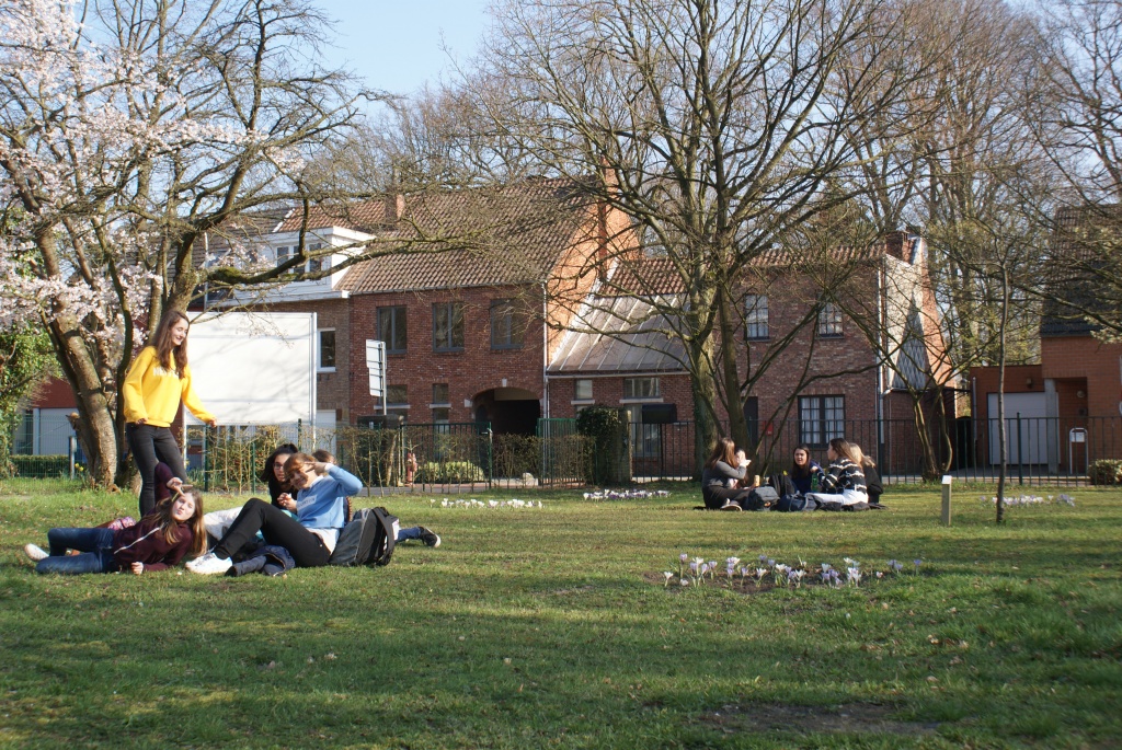 Willekeurige afbeelding uit het fotoalbum
