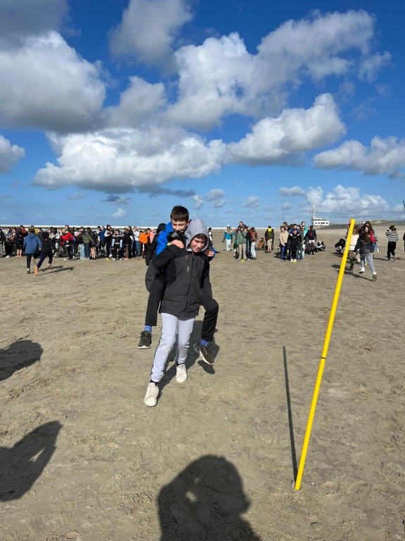 Willekeurige afbeelding uit het fotoalbum