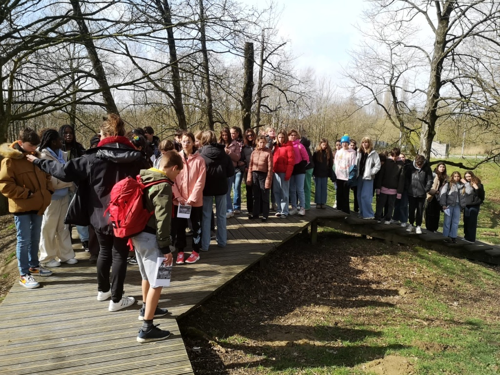 Willekeurige afbeelding uit het fotoalbum