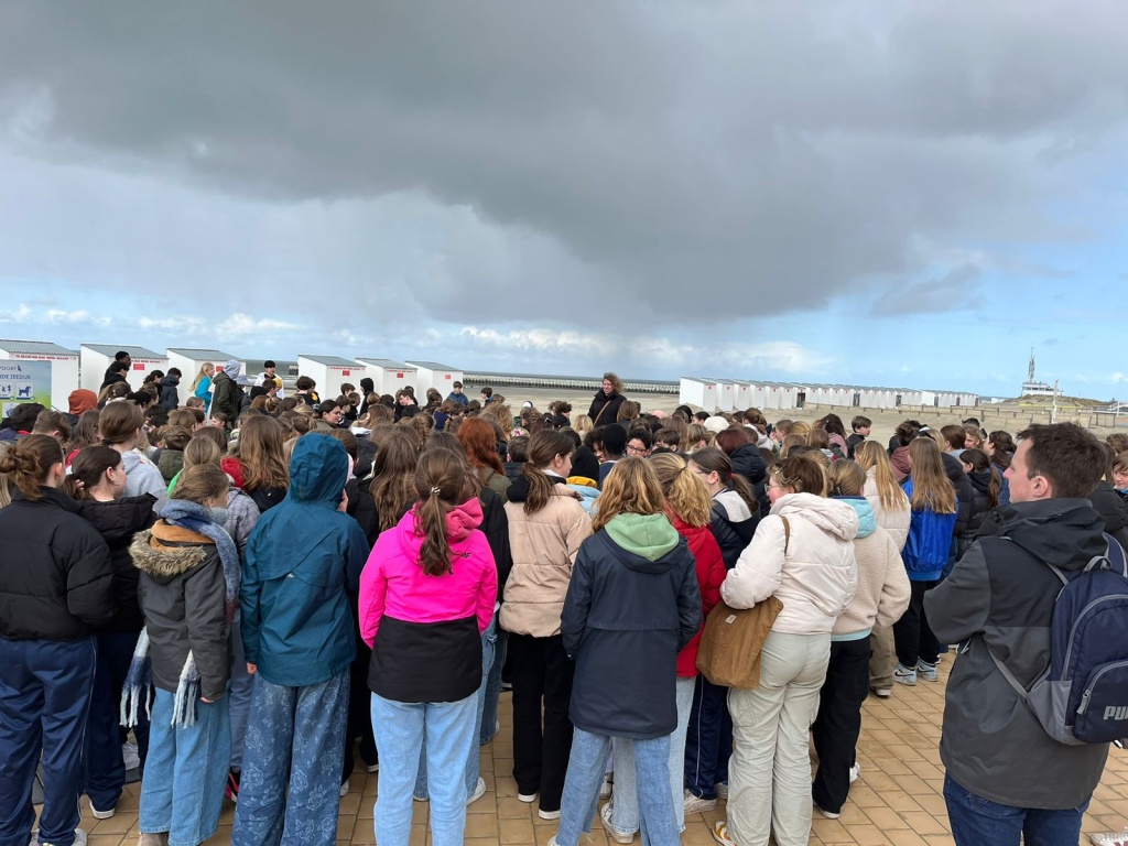 Willekeurige afbeelding uit het fotoalbum