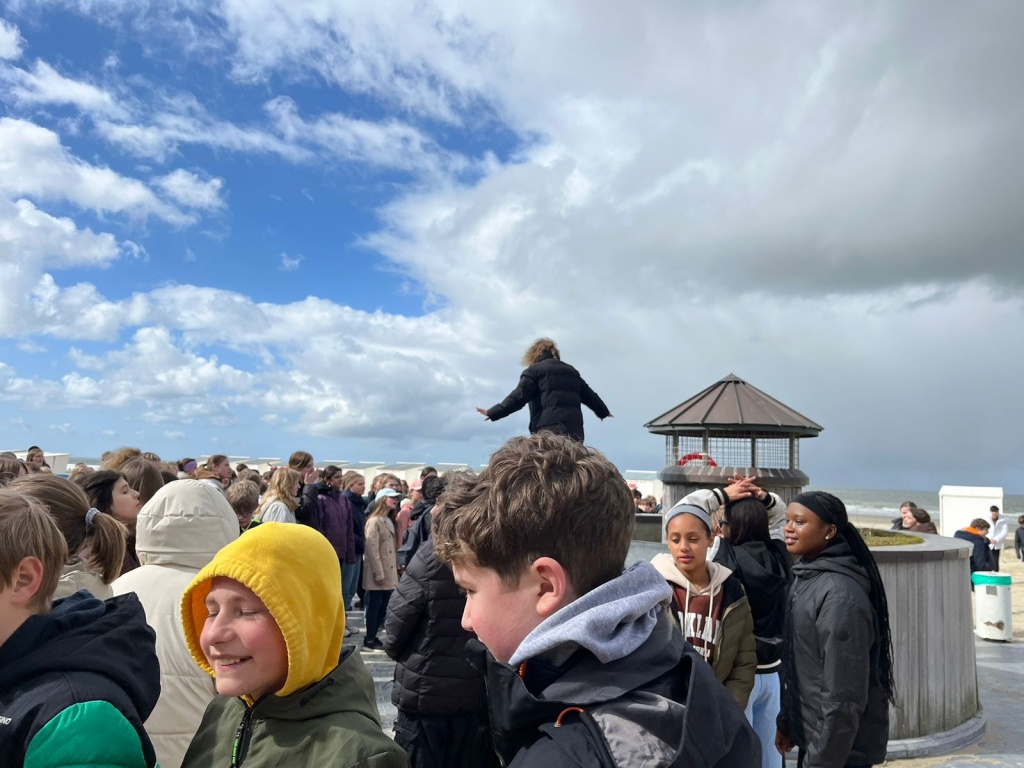 Willekeurige afbeelding uit het fotoalbum