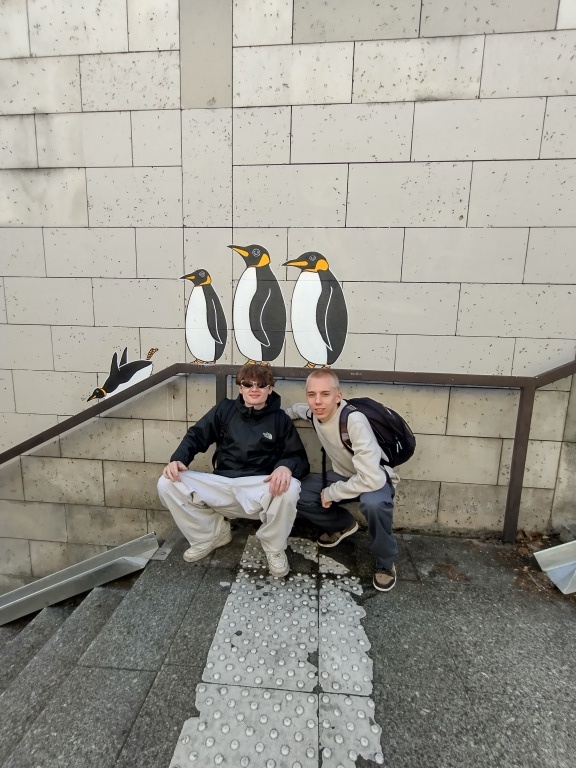 Willekeurige afbeelding uit het fotoalbum