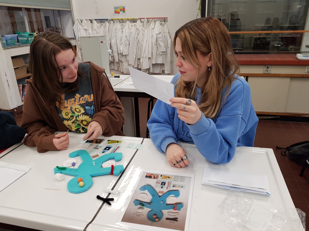 Willekeurige afbeelding uit het fotoalbum