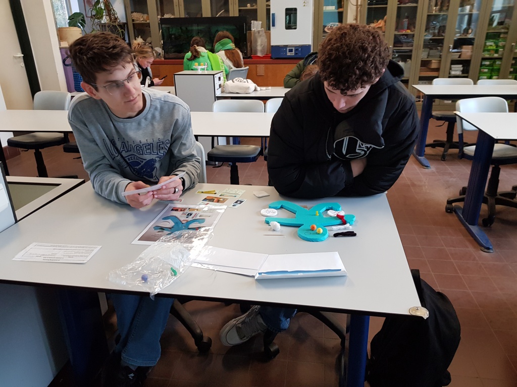 Willekeurige afbeelding uit het fotoalbum