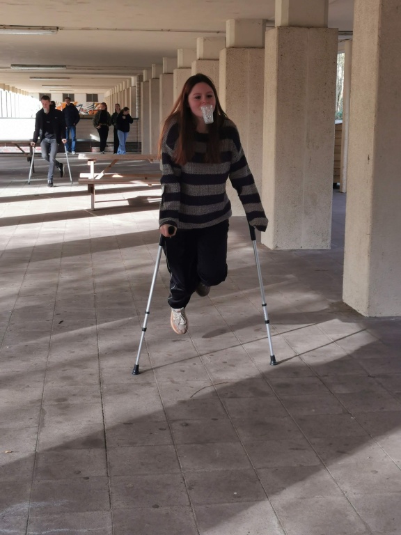 Willekeurige afbeelding uit het fotoalbum