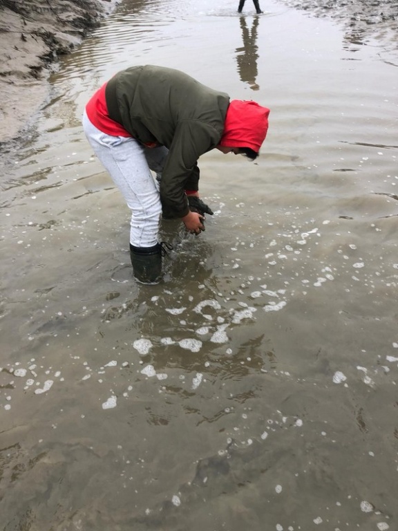 Willekeurige afbeelding uit het fotoalbum