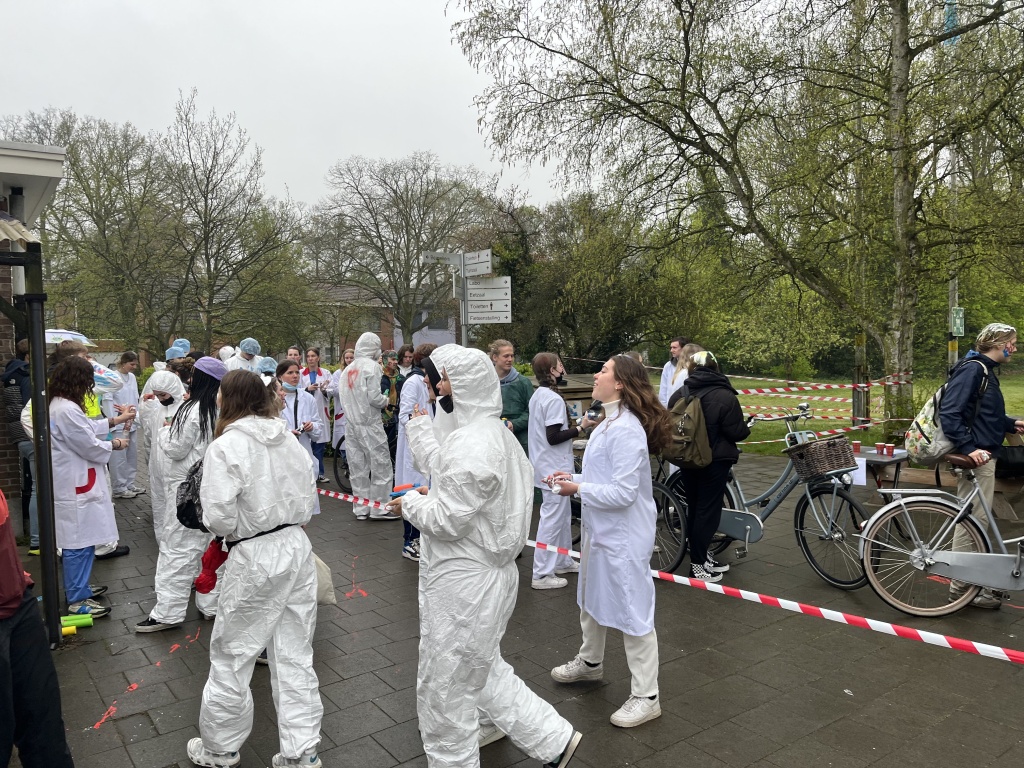 Willekeurige afbeelding uit het fotoalbum