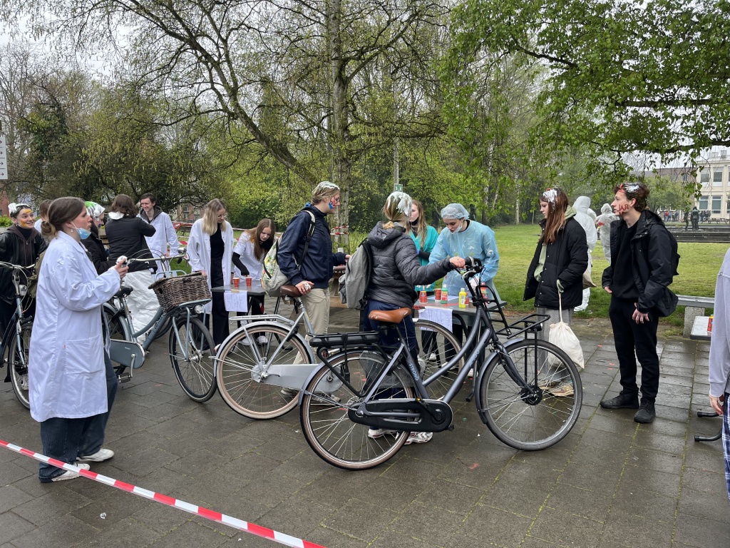 Willekeurige afbeelding uit het fotoalbum