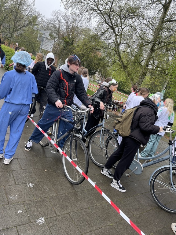 Willekeurige afbeelding uit het fotoalbum