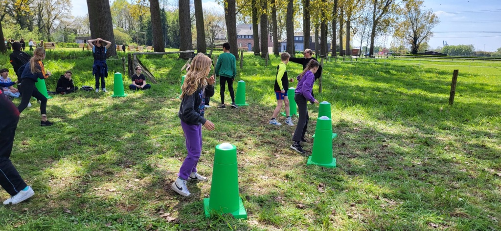 Willekeurige afbeelding uit het fotoalbum