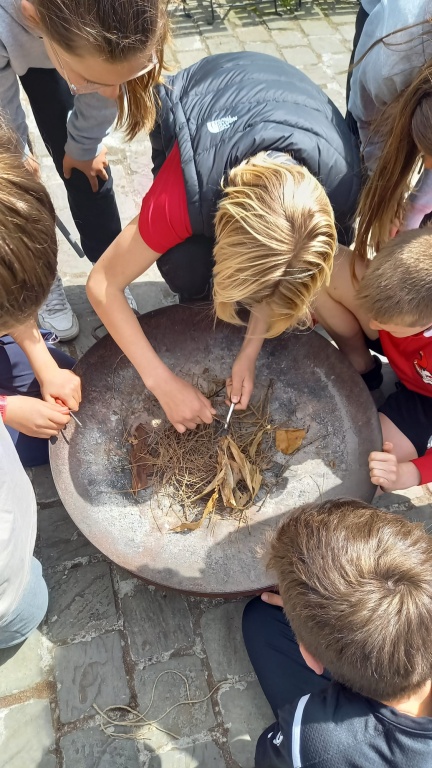 Willekeurige afbeelding uit het fotoalbum