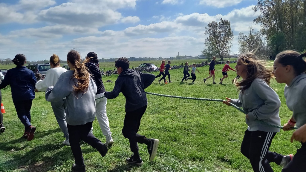 Willekeurige afbeelding uit het fotoalbum