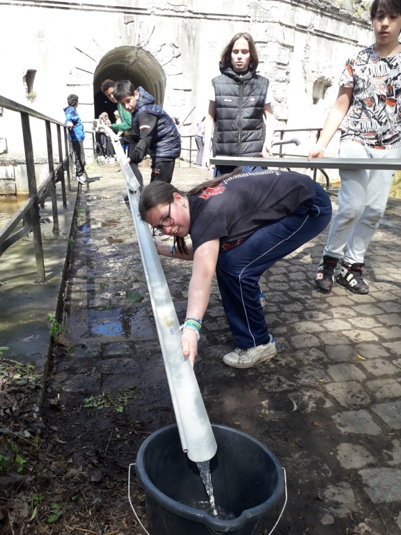 Willekeurige afbeelding uit het fotoalbum