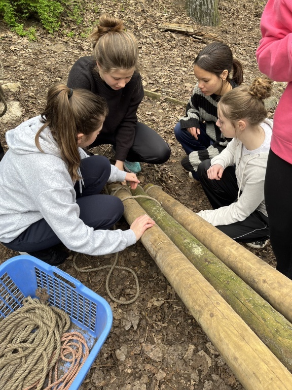 Willekeurige afbeelding uit het fotoalbum