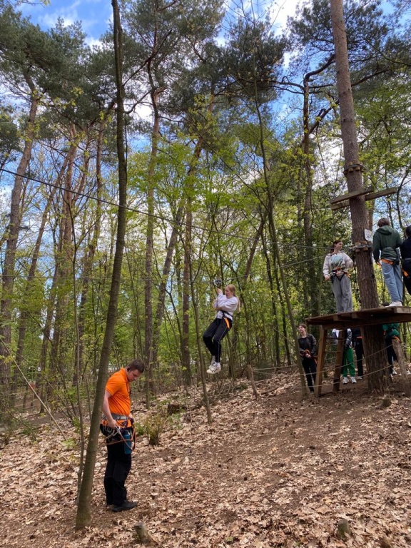 Willekeurige afbeelding uit het fotoalbum