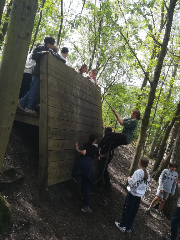 Willekeurige afbeelding uit het fotoalbum