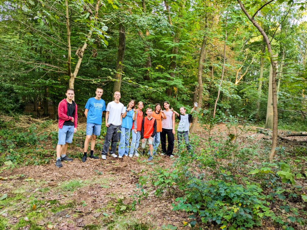Willekeurige afbeelding uit het fotoalbum