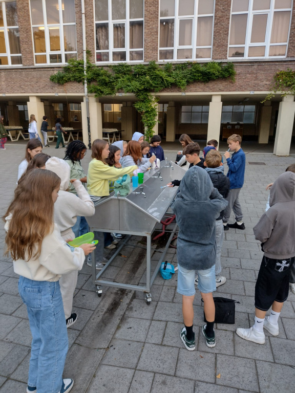 Willekeurige afbeelding uit het fotoalbum