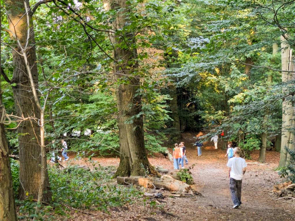 Willekeurige afbeelding uit het fotoalbum