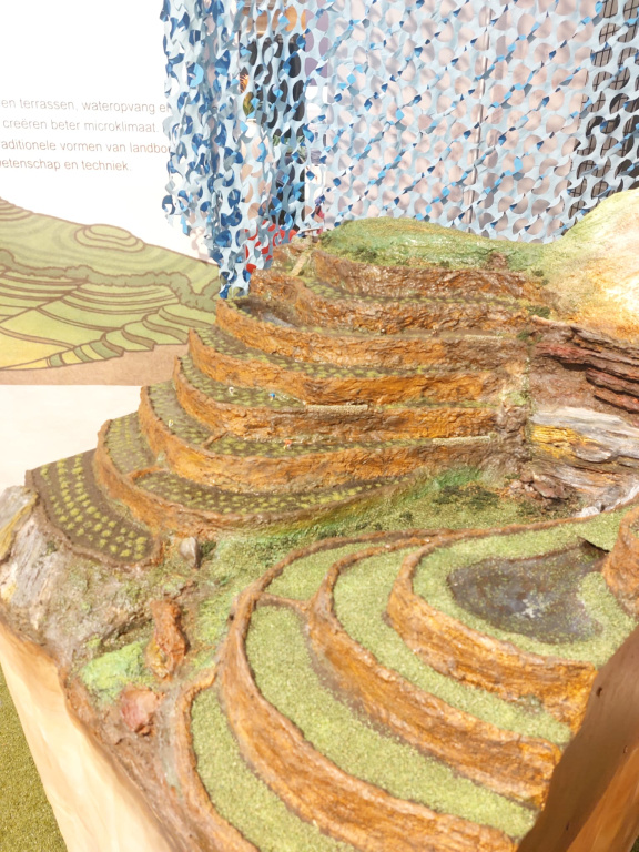 Willekeurige afbeelding uit het fotoalbum