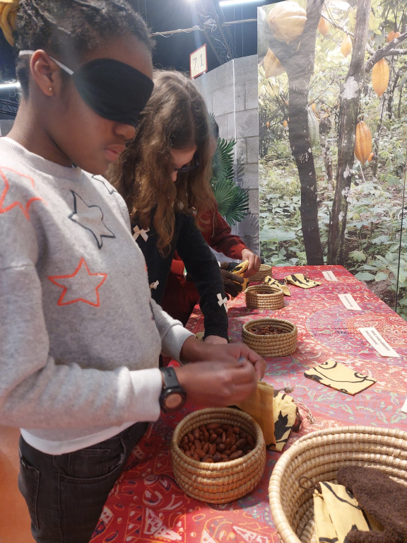 Willekeurige afbeelding uit het fotoalbum