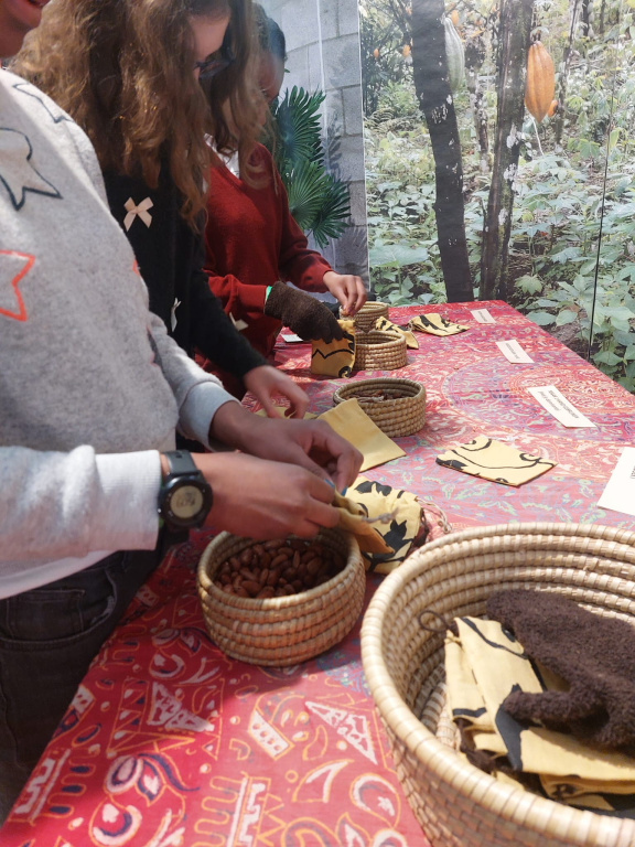 Willekeurige afbeelding uit het fotoalbum