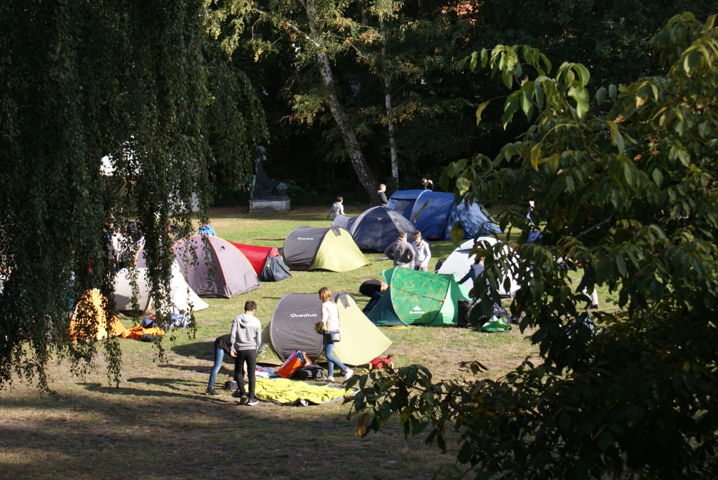 Willekeurige afbeelding uit het fotoalbum
