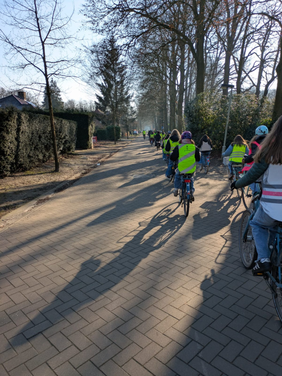 Willekeurige afbeelding uit het fotoalbum