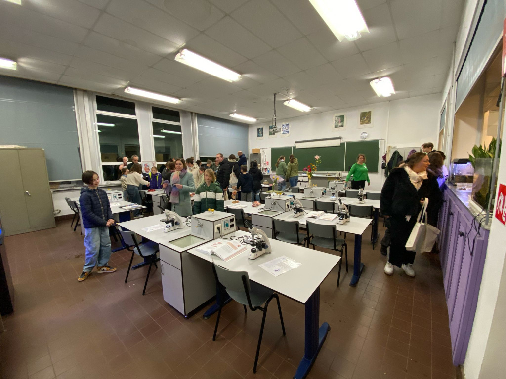 Willekeurige afbeelding uit het fotoalbum