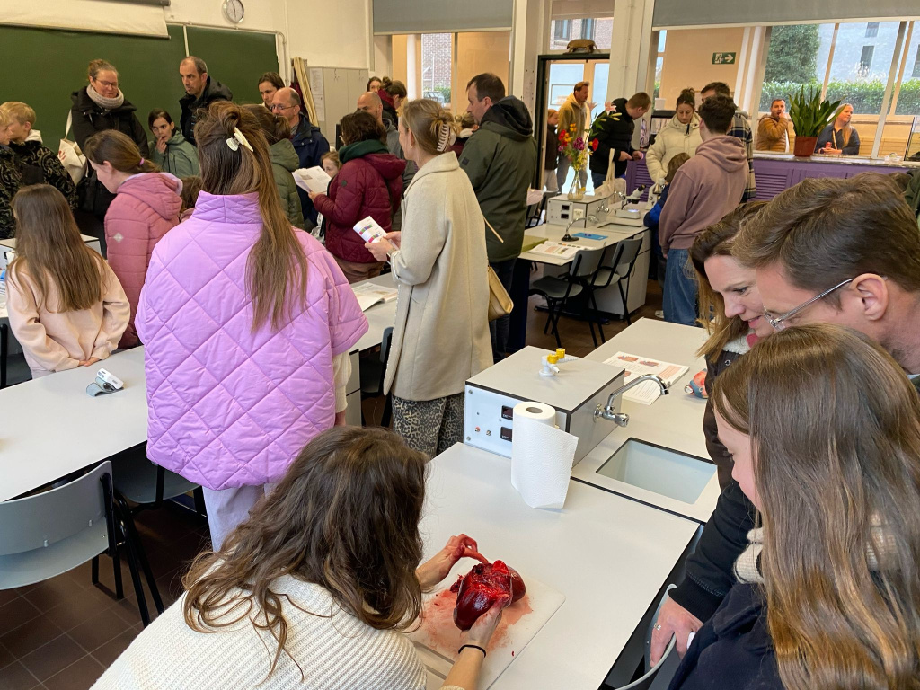 Willekeurige afbeelding uit het fotoalbum