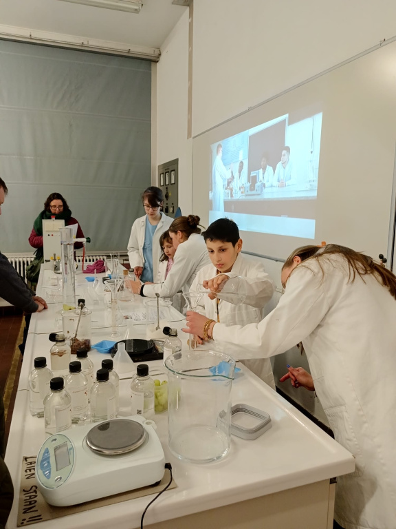 Willekeurige afbeelding uit het fotoalbum