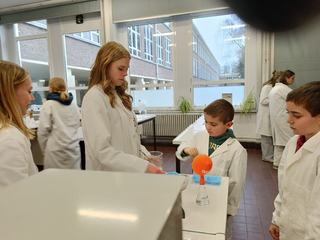 Willekeurige afbeelding uit het fotoalbum