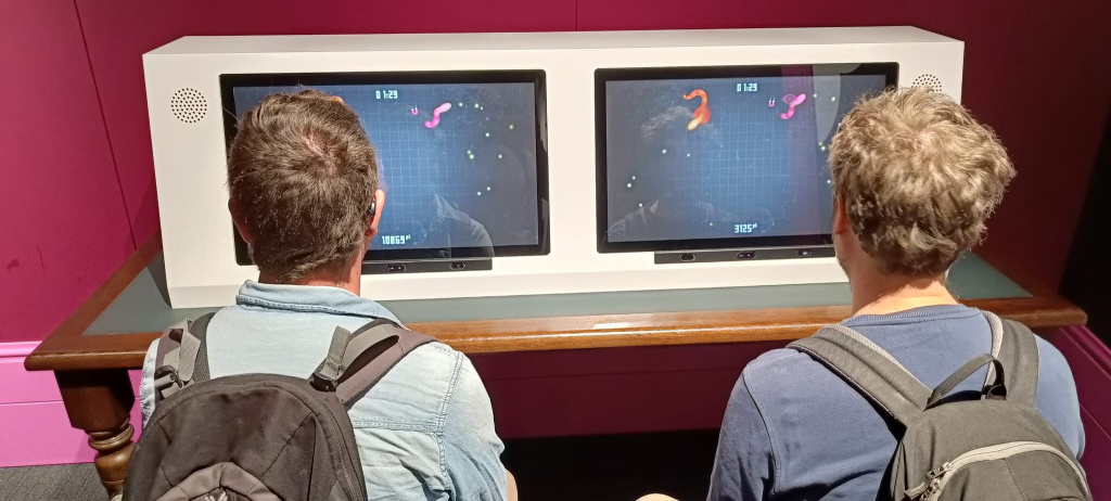 Willekeurige afbeelding uit het fotoalbum