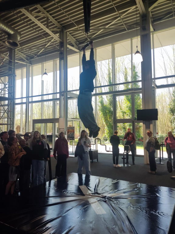 Willekeurige afbeelding uit het fotoalbum