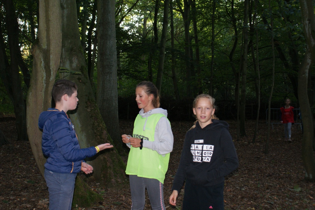 Willekeurige afbeelding uit het fotoalbum