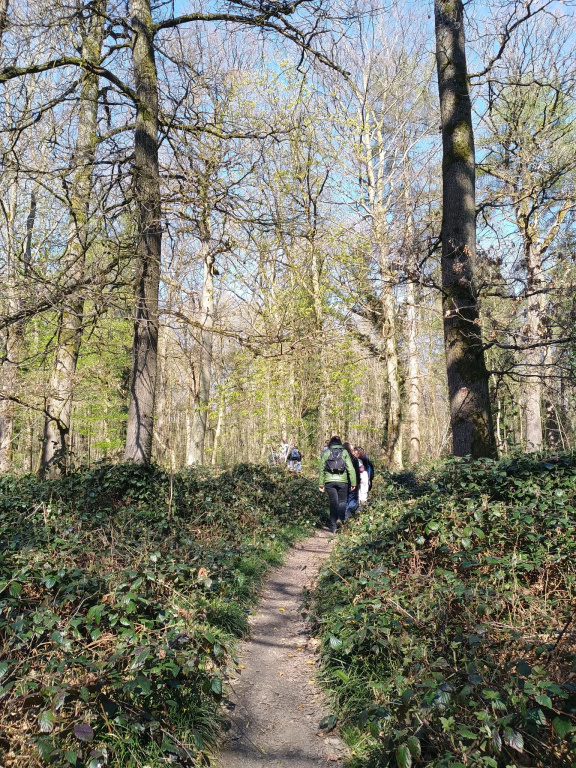Willekeurige afbeelding uit het fotoalbum