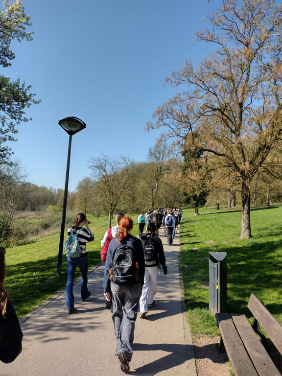 Willekeurige afbeelding uit het fotoalbum
