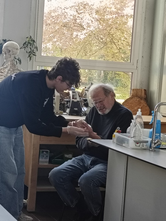 Willekeurige afbeelding uit het fotoalbum