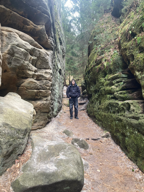 Willekeurige afbeelding uit het fotoalbum