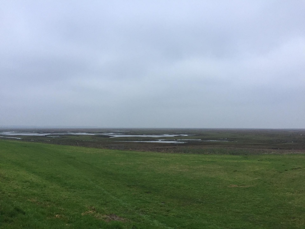 Willekeurige afbeelding uit het fotoalbum